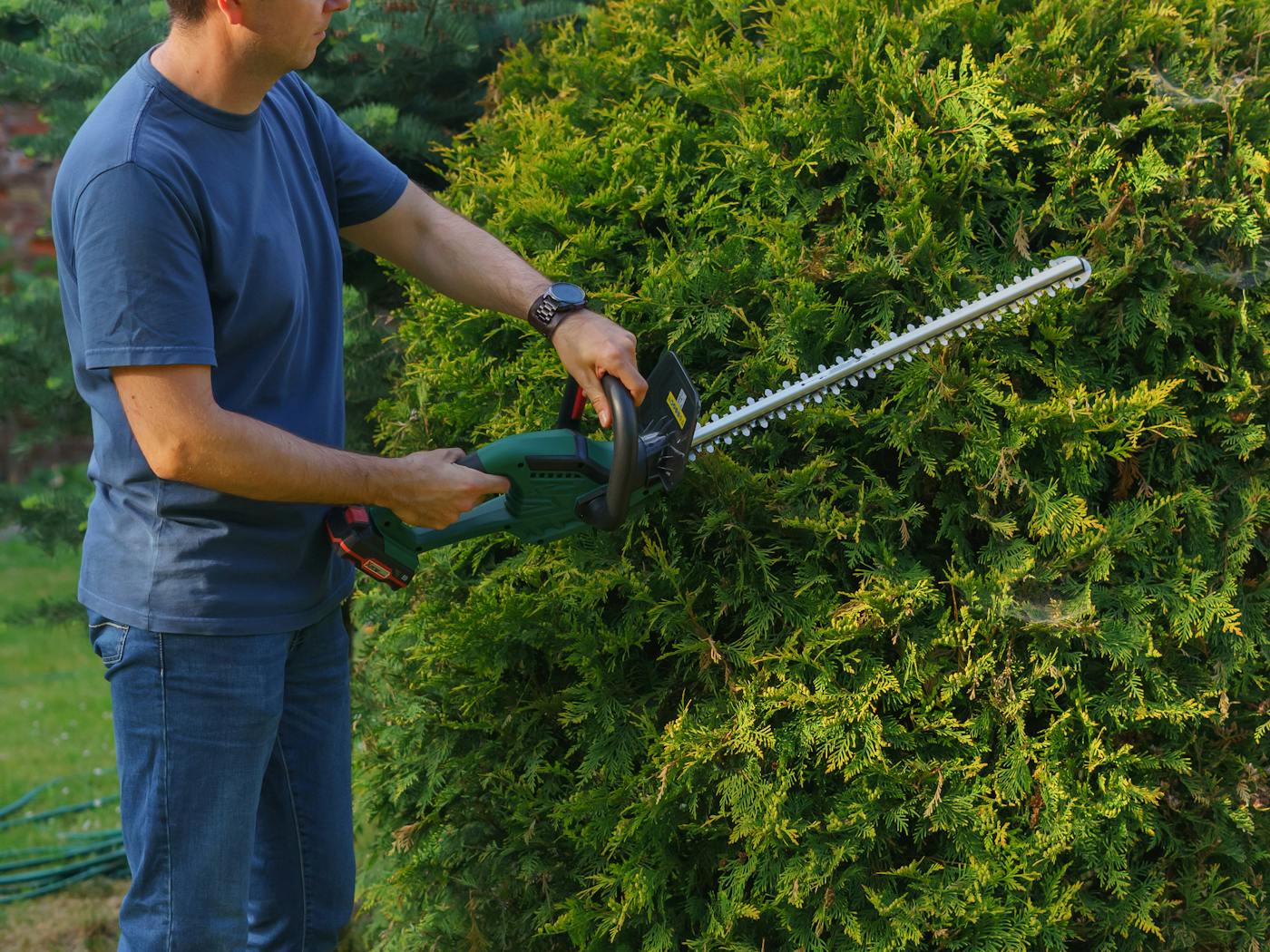 Boxwood hedges shaped along a residential walkway in Seguin.