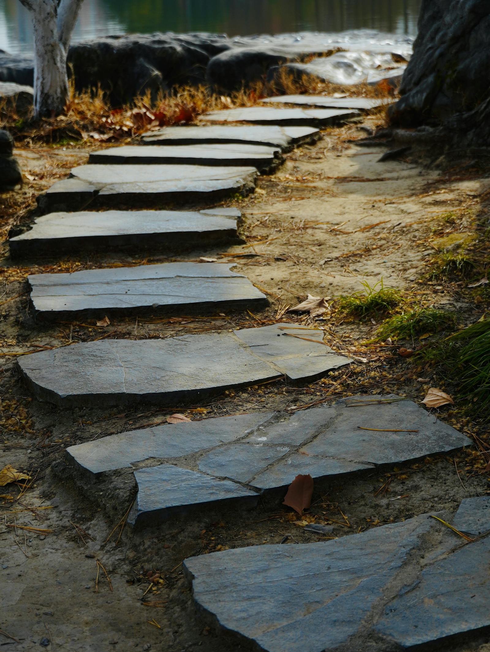 Rustic Texas-limestone pathway curving through a planted Hill Country bed.